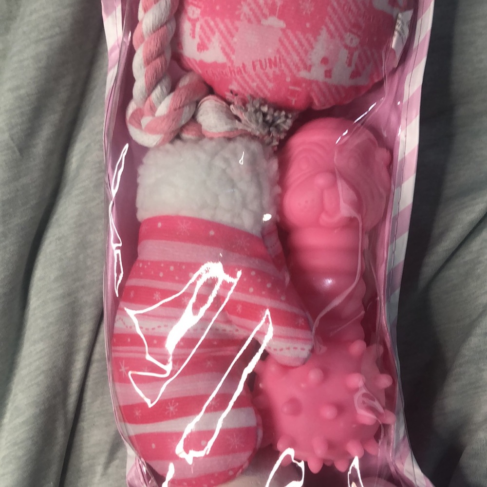 Holiday Dog Toys 6pc - Picture 4 of 7